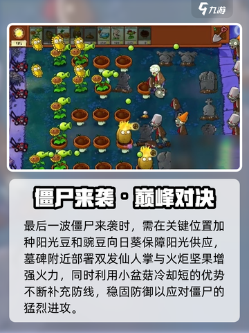 🎮植物大战僵尸杂交版第4关通关秘籍！截图4