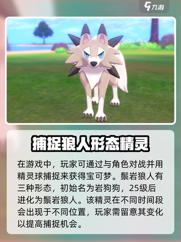 宝可梦大集结🔥狼人获取全攻略！👇截图2