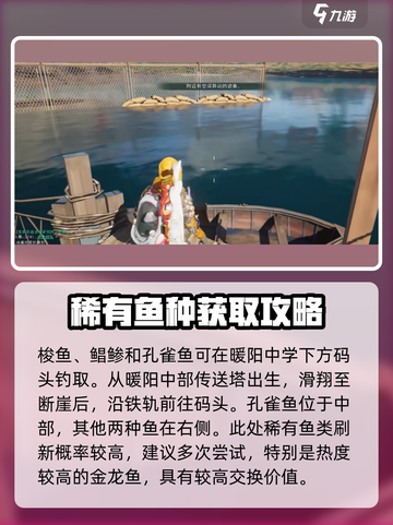 七日世界金龙鱼怎么获得介绍截图4