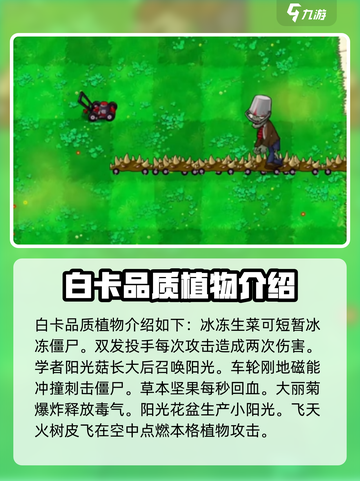 植物大战僵尸抽卡版🔥全植物卡片大揭秘！截图2