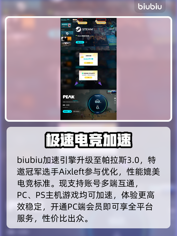 🔥Peak进不去？秒解决登录失败！💥截图4