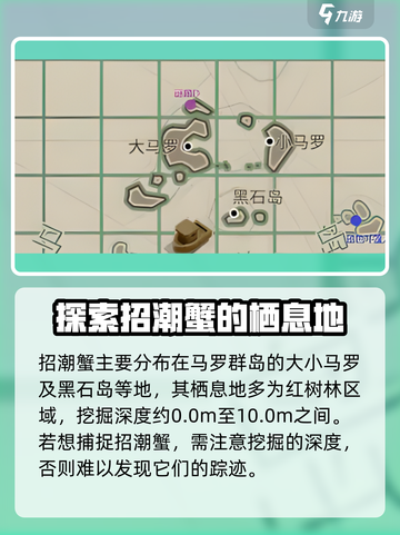 渔帆暗涌招潮蟹在哪里介绍截图2