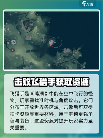 鸣潮🔥无名湾飞猎手位置大揭秘！💎快速寻找方法截图2