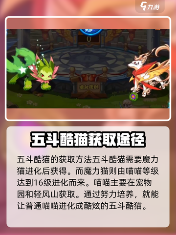 洛克王国手游：五斗酷猫超强🔥攻略来了！截图2