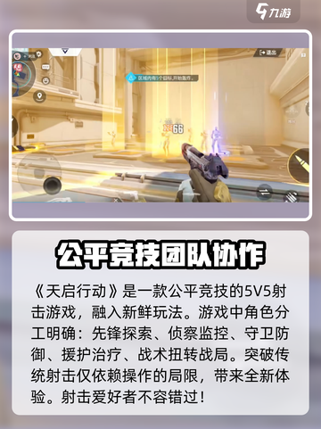 天启行动是哪个国家的介绍截图2
