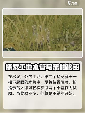 三角洲行动🔥鸟窝位置全揭秘！快来看👀截图3
