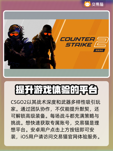 CSGO2交易平台大揭秘！账号交易安全指南🔥🎮截图2
