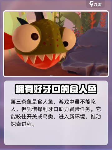 我是小鱼儿玩家角色大起底，游戏乐趣✨一网打尽！截图4