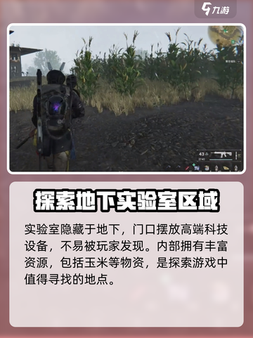 七日世界玉米在哪里介绍截图4