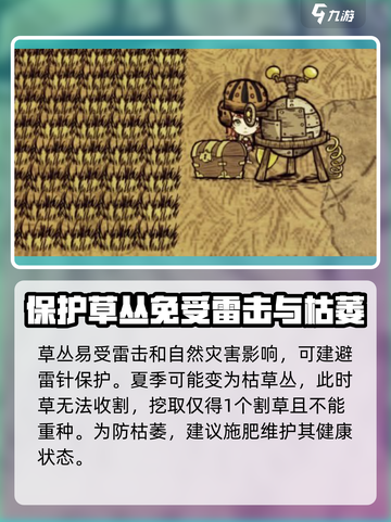 饥荒新家园💡干草资源使用攻略🎉截图5