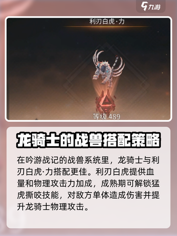 《吟游战记》龙骑士🔥超强攻略🌟带你制霸战场！截图5