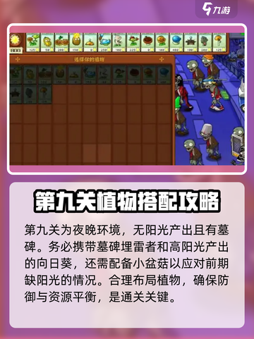 植物大战僵尸杂交版第9关🔥通关秘籍在这里！游戏技巧大公开🎉截图2