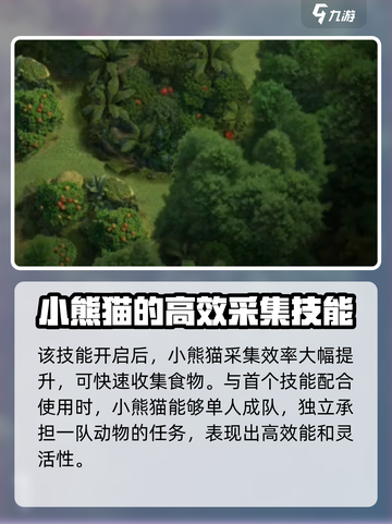 野兽领主新世界：小熊猫🔥强度爆表，必玩🔥截图5