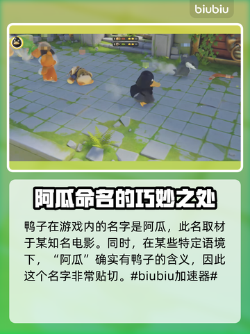 动物派对🔥鸭子角色大揭秘！🎉截图2