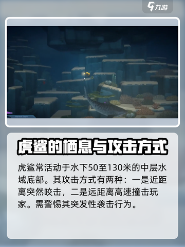 潜水员戴夫虎鲨在哪介绍截图2