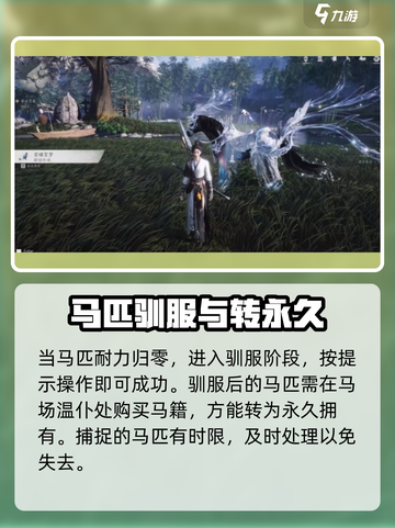 燕云十六声怎么抓马介绍截图6