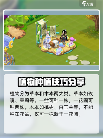 梦幻庭院种植物的方法介绍截图3