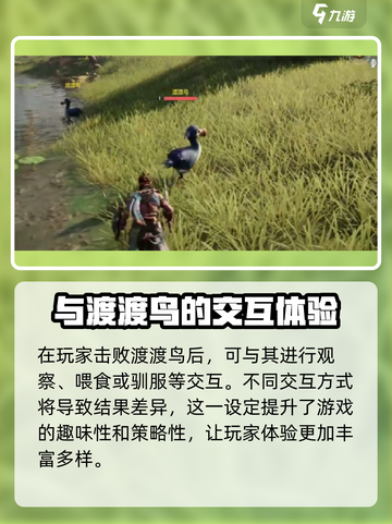 荒野起源渡渡鸟的特点分享介绍截图4