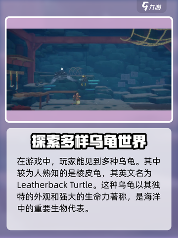 潜水员戴夫乌龟名字是什么介绍截图2