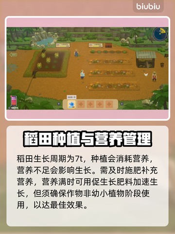 潜水员戴夫💡稻田种植效率最大化攻略🎉截图6