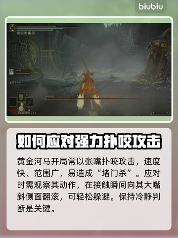 艾尔登法环：黄金河马打法🔥一招制胜黑夜君临！截图3
