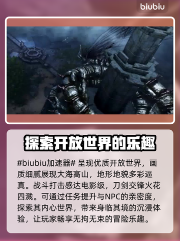 黑色沙漠🔥闪退解决+加速器推荐⚡截图2