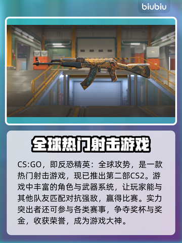 CSGO玩家必看！加速器大揭秘🔥🚀截图2