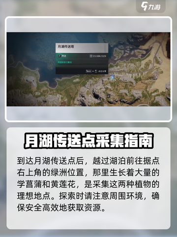七日世界血菖蒲采集点有哪些介绍截图5