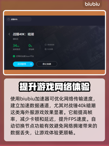 战锤40k暗潮卡顿？用加速器畅玩🔥🎮截图3