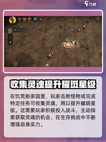 饥荒新家园✨耀斑升星攻略，快速提升战力！截图2