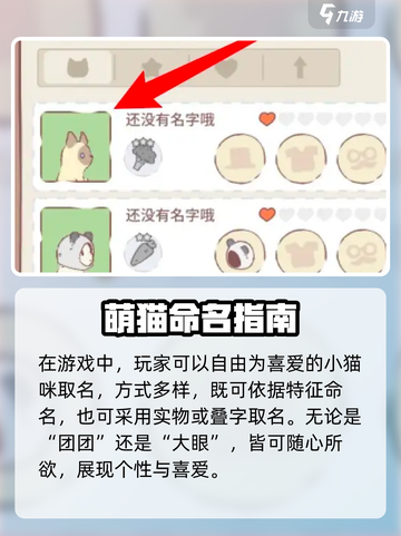 🎮《猫咪和汤》取名绝招！秒变吸睛王✨截图2