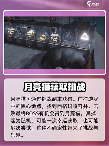 七日世界月亮猫获取方式介绍介绍截图2