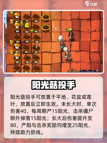 🌱阳光菇投手逆天改命！《植物大战僵尸》截图2