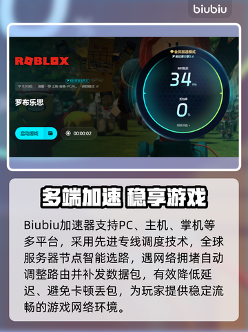 💥罗布乐思延迟丢包？速看解决🔥截图3