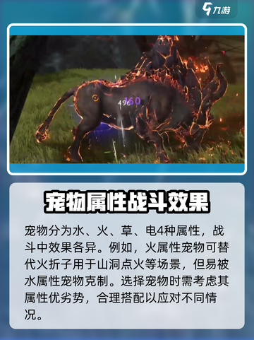 仙剑世界🔥宠物系统大揭秘！抓宠修行两不误🐾截图3