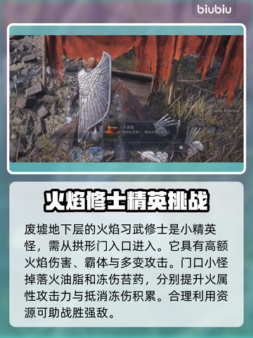 艾尔登法环🔥黑夜君临！火焰习武修士打法揭秘✨截图2
