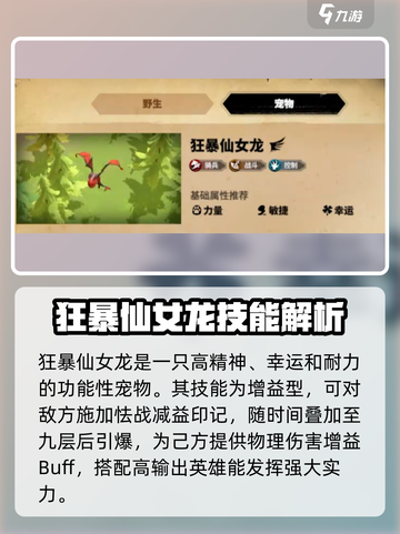 万龙觉醒最强宠物是谁介绍截图5