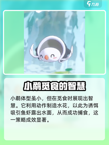 洛克王国世界小鹬怎么样介绍截图4