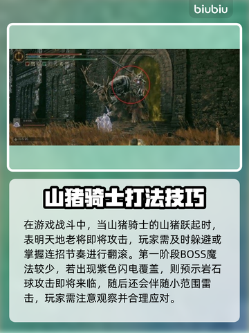 艾尔登法环黑夜君临偏地老将打法🔥一招制胜！截图2