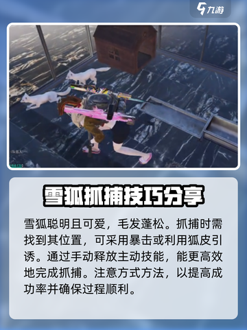 七日世界🔥雪狐获取全攻略！轻松捕获✨截图3