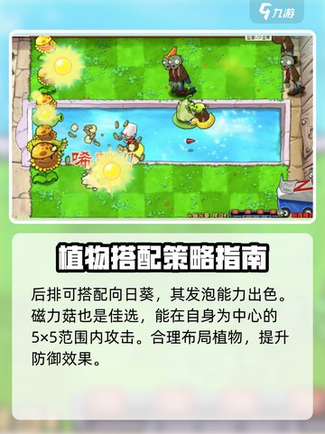 植物大战僵尸杂交版🔥头脑风暴通关秘籍🎉截图3