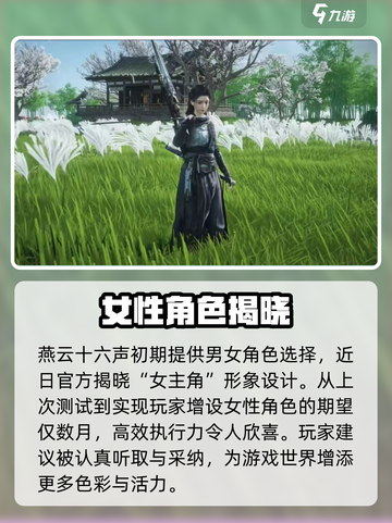 燕云十六声主角会有女角色吗介绍截图2