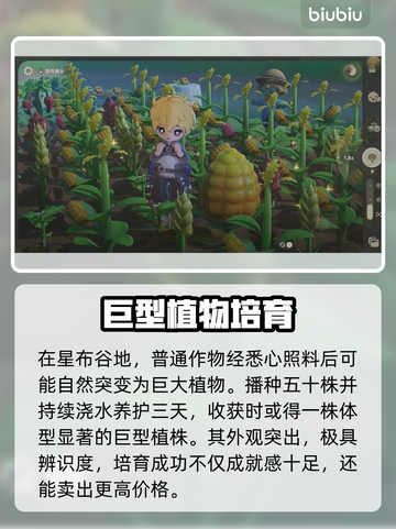 【星布谷地】变异果实速刷🔥截图2