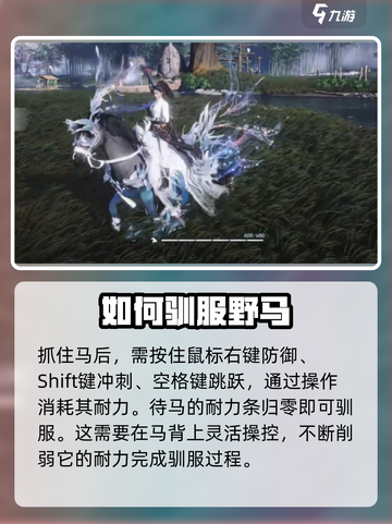 燕云十六声🔥抓马攻略：快速捕捉马匹💎截图6