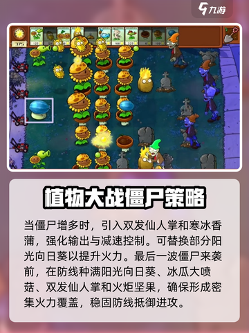 植物大战僵尸杂交版第8关🔥通关秘籍⚡截图5