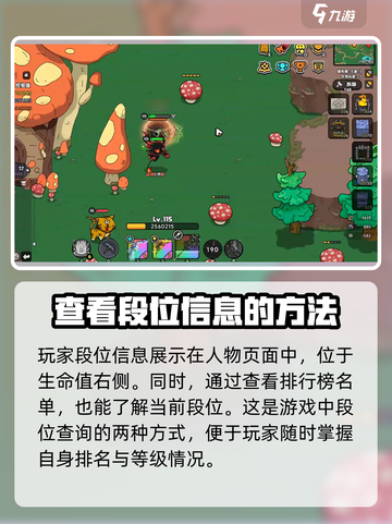 英勇之地🔥段位提升秘籍，快速上分必备！截图3