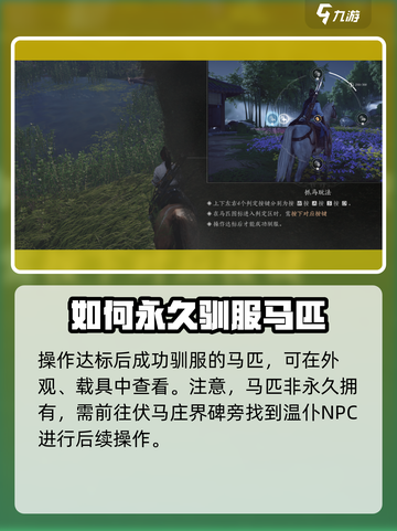 燕云十六声马怎么抓介绍截图4