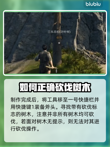 战国王朝🔥柴火获取全攻略💡新手必看！截图3