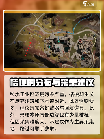 七日世界桔梗在哪里采集介绍截图3
