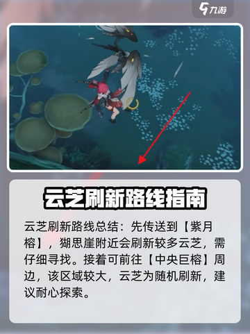 鸣潮⚡云芝具体位置大曝光！玩家必看🔥截图3